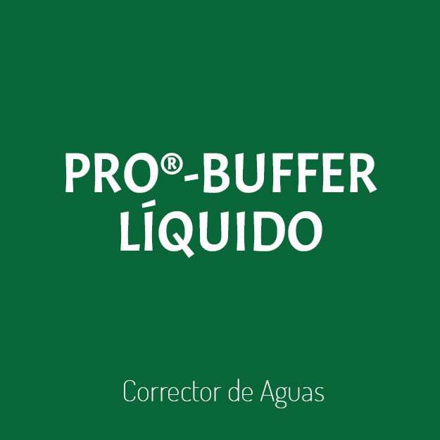 PRO – BUFFER – Liquido